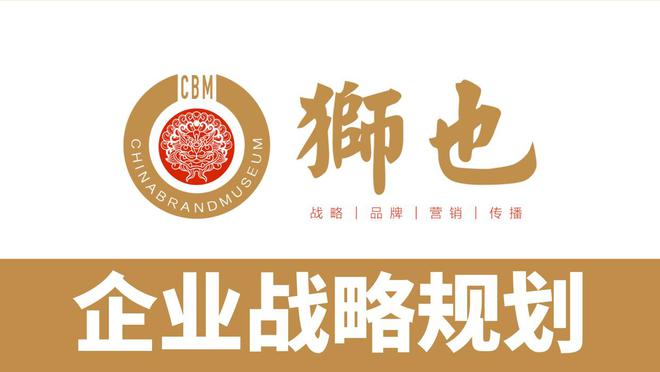 业品牌策划战略专业解析｜战略咨询公司爱游戏ayx品牌智库｜海南三亚知名企(图2)